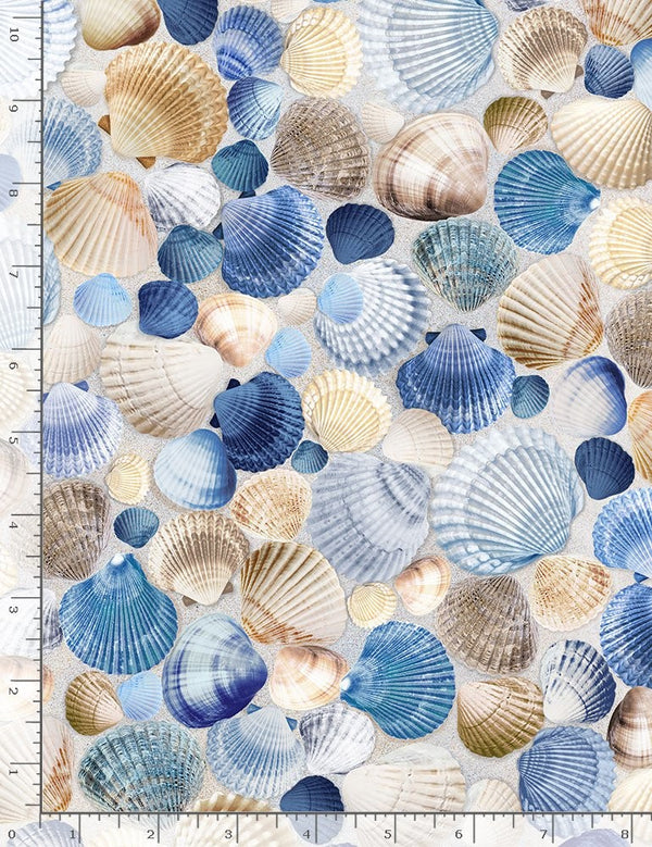 Timeless Treasures Quilt Fabric Packed Sea Shells Style C1236 Blue