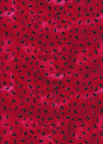 Timeless Treasures Watermelon Quilt Fabric By The Yard