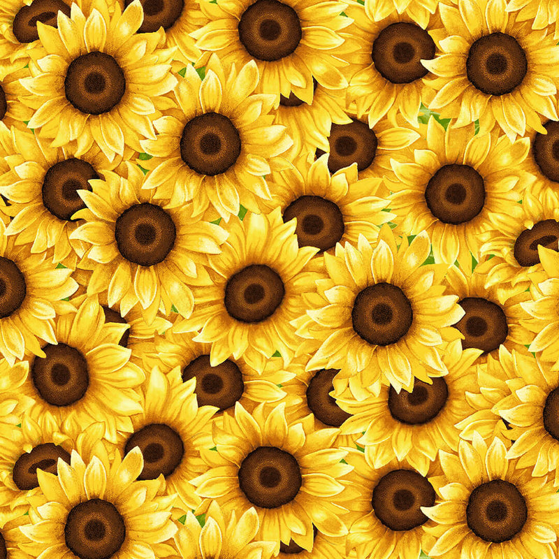 Sunny Sunflowers Quilt Fabric Packed Sunflowers Style 5570/44 Yellow