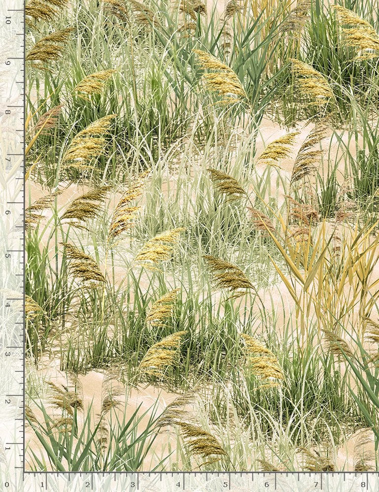 Timeless Treasures Quilt Fabric Sea Grass Style C1084 Natural