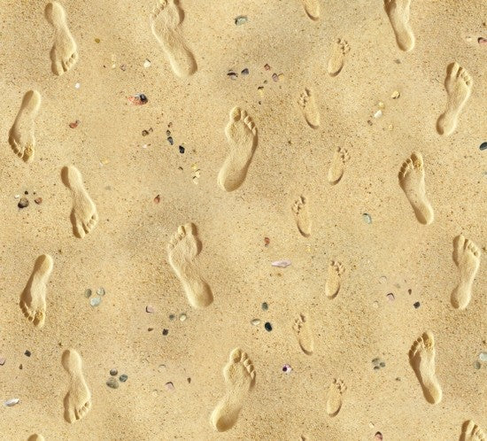 Elizabeth's Studio Footprints on the Beach Style 418 Sand