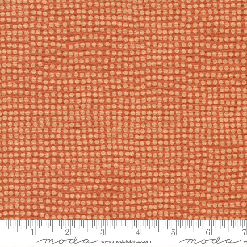 Moda Zen Chic Frisky Dots Quilt Fabric Style 1774/22 Cheeky