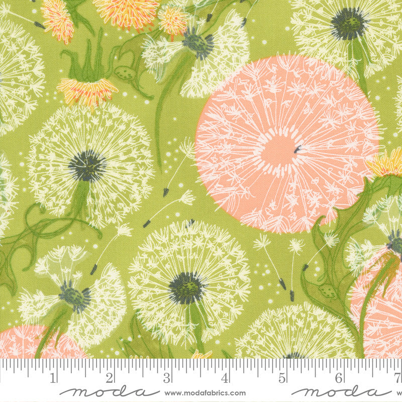 Robin Pickens Dandi Duo Quilt Fabric Dandelion Fields Style 48750/13 Grass