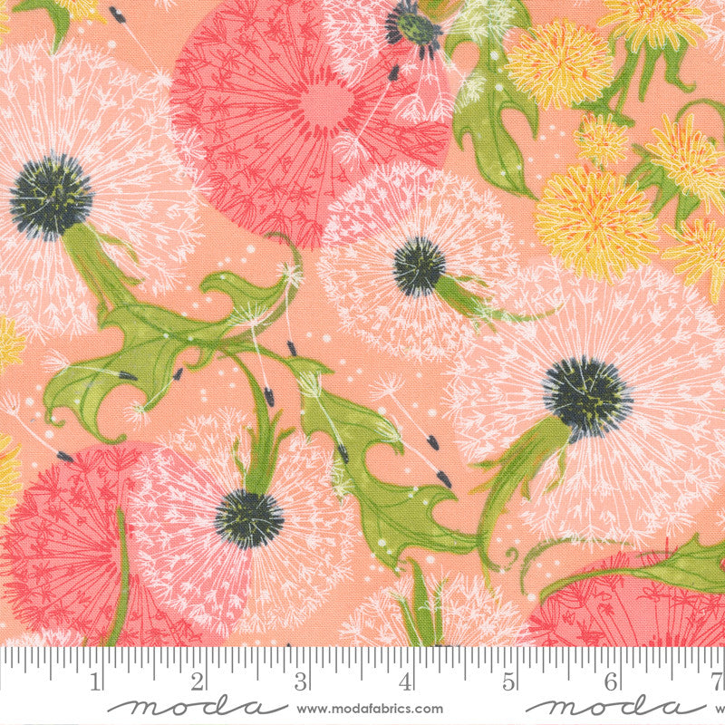 Robin Pickens Dandi Duo Quilt Fabric Dandelion Fields Style 48750/14 Peach