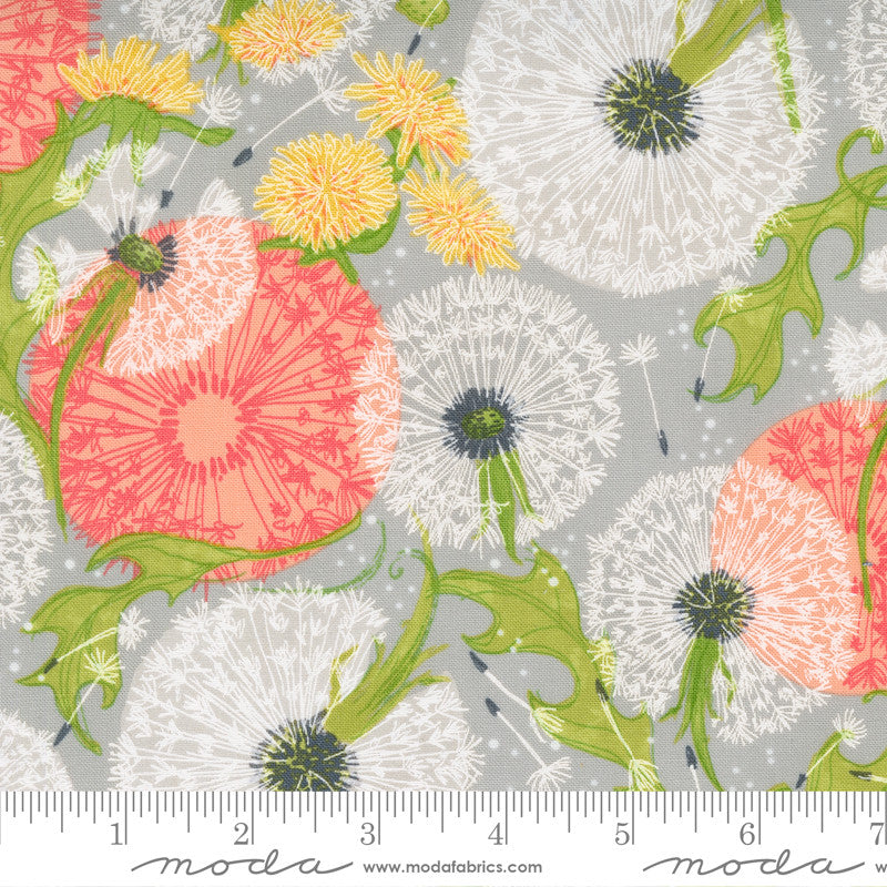 Robin Pickens Dandi Duo Quilt Fabric Dandelion Fields Style 48750/16 Slate