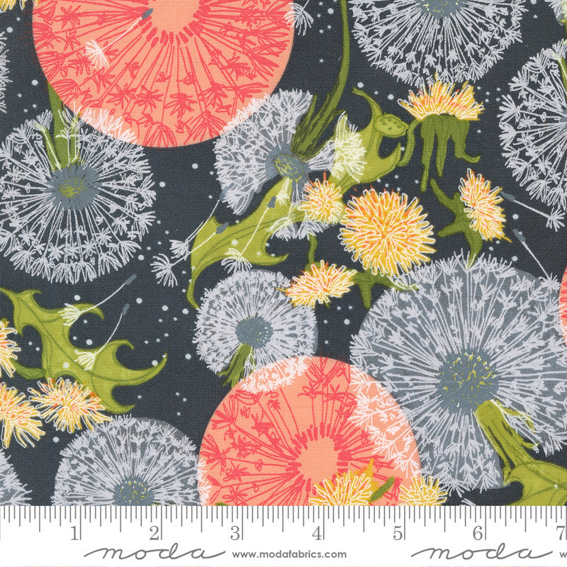 Robin Pickens Dandi Duo Quilt Fabric Dandelion Fields Style 48750/18 Graphite