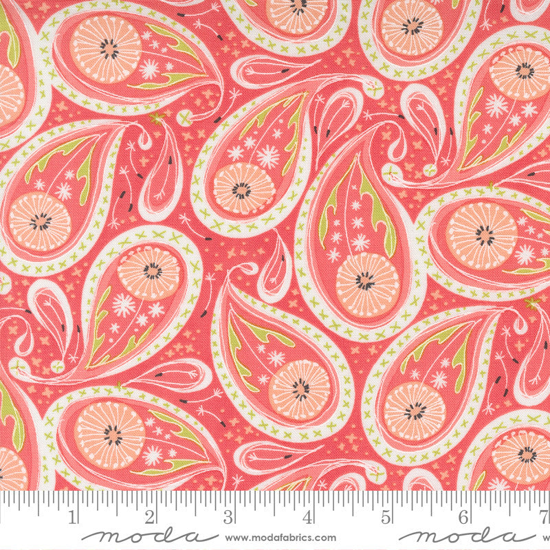 Robin Pickens Dandi Duo Quilt Fabric Paisley Style 48753/15 Coral