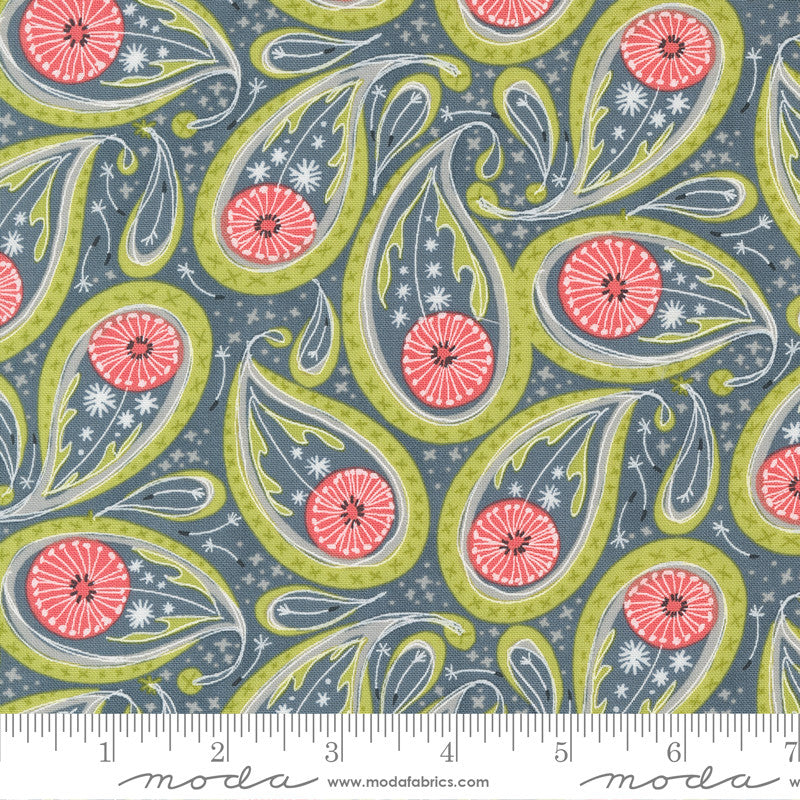 Robin Pickens Dandi Duo Quilt Fabric Paisley Style 48753/17 Graphite