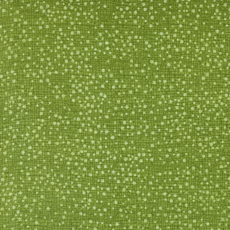 Robin Pickens Winterly Quilt Fabric Thatched Dotty Style 48715/197 Grass