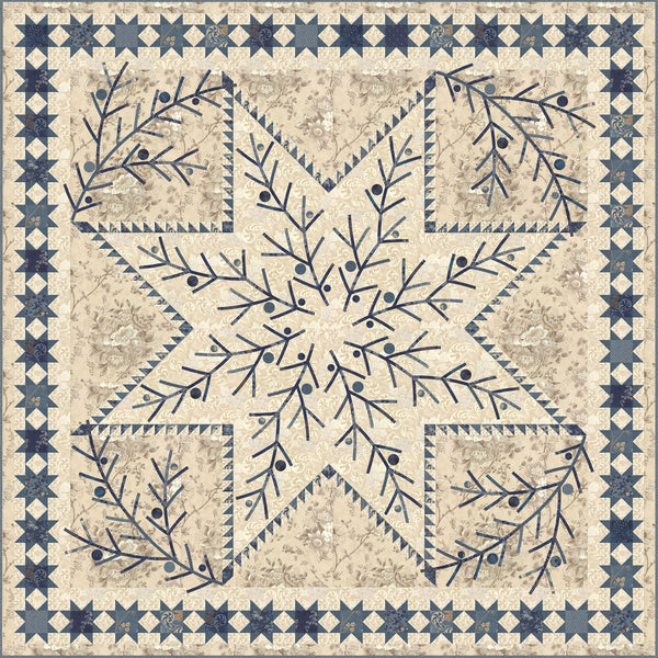 Edyta Sitar Shining Star Quilt Pattern