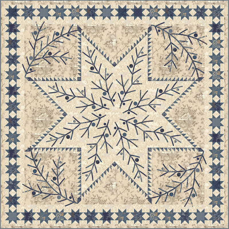 Edyta Sitar Shining Star Quilt Pattern