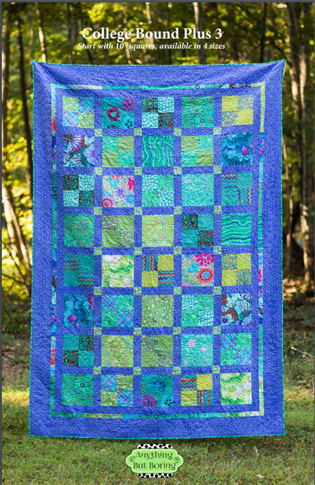 Anything But Boring by Janice Pope College Bound Plus 3 Quilt Pattern ABB0805