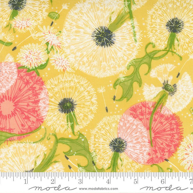Robin Pickens Dandi Duo Quilt Fabric Dandelion Fields Style 48750/12 Maize
