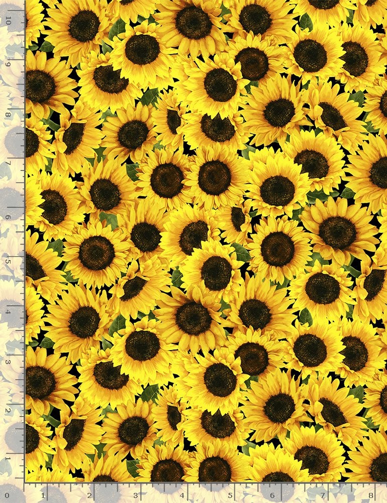 Timeless Treasures Sunflower Sunset Quilt Fabric Packed Sunflowers C8781 Yellow